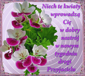 Piękne kwiaty niech wprowadzą nas w nowy miły tydzień